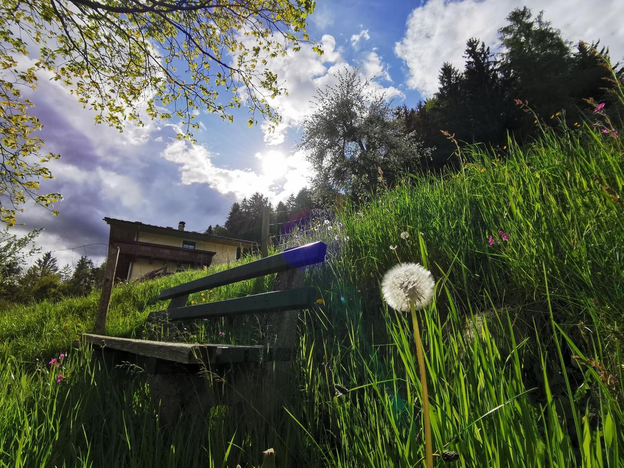 Appartamento Bruecklerhof Haus im Ennstal Esterno foto